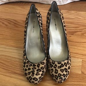 Gorgeous Animal Print Pumps!